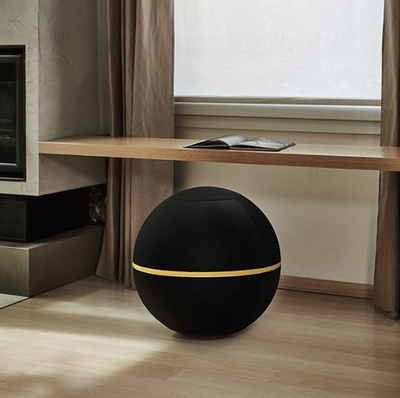 Wellness Ball™ Active Sitting ウェルネスボールアクティブシッティング – LOUCA